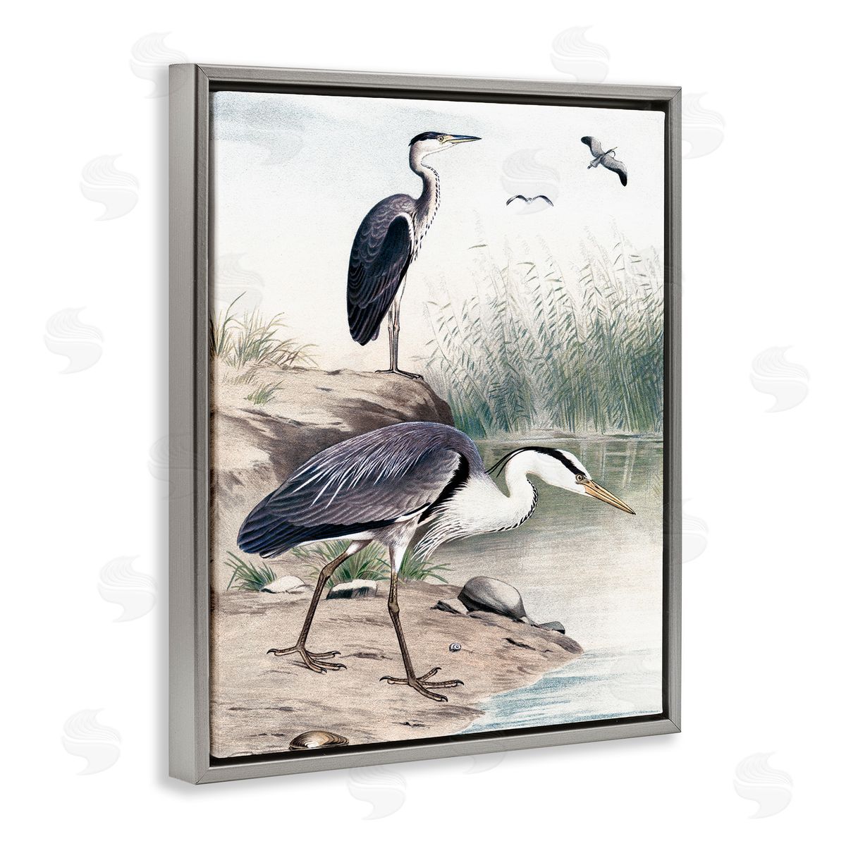 Piddix Heron Birds on Lake Shore Pampas Grass Nature Gray Floating Frame Canvas Wall Art Print