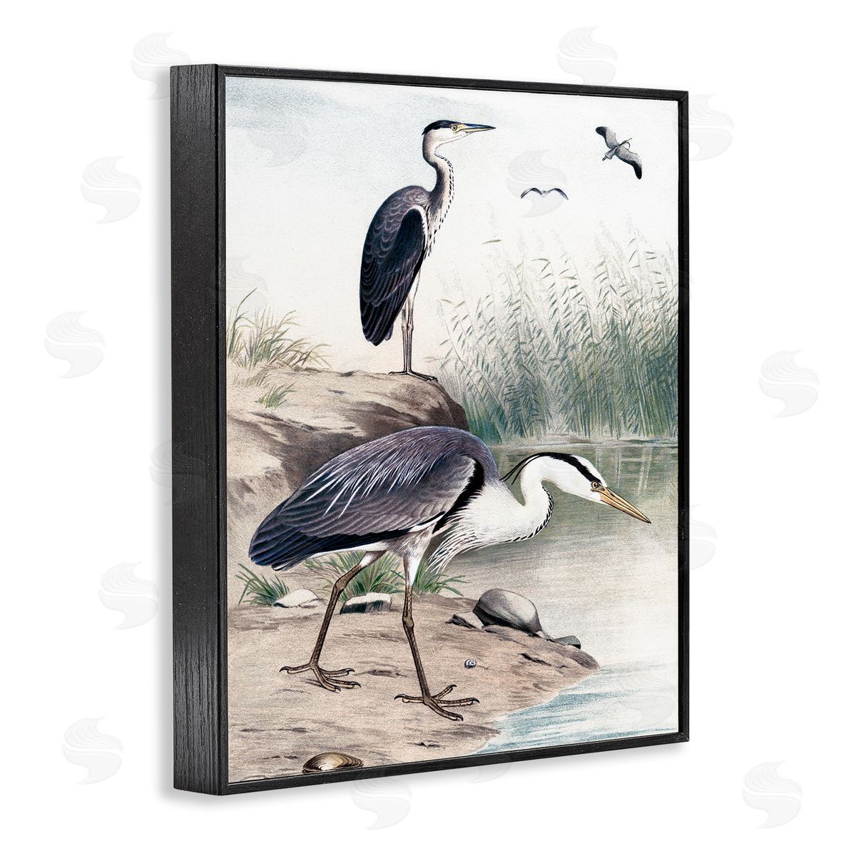 Piddix Heron Birds on Lake Shore Pampas Grass Nature Black Framed Giclee Wall Art Print