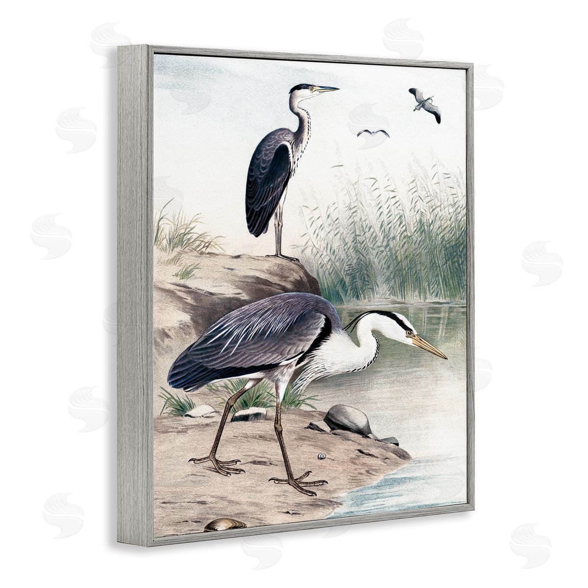 Piddix Heron Birds on Lake Shore Pampas Grass Nature Gray Framed Giclee Wall Art Print