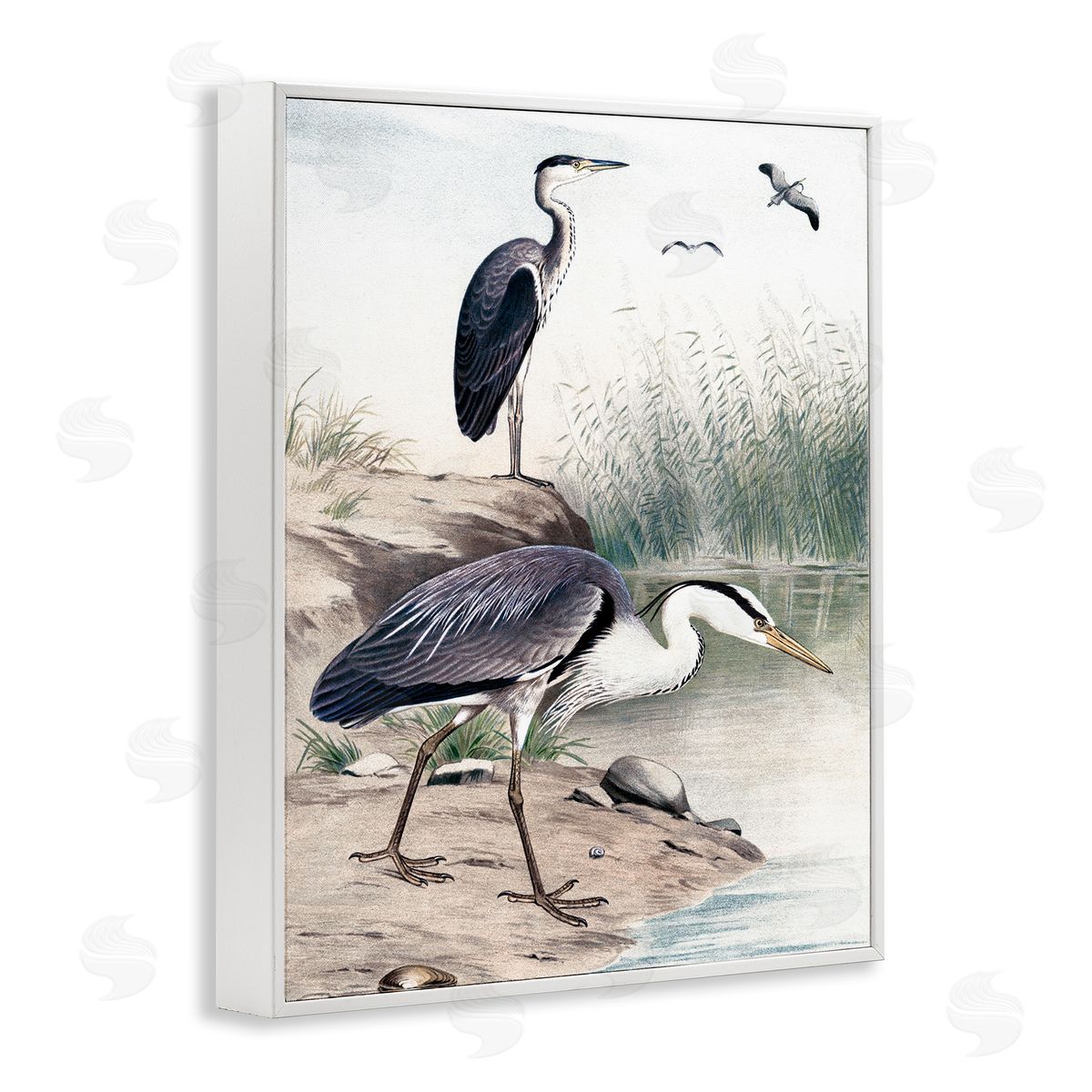 Piddix Heron Birds on Lake Shore Pampas Grass Nature White Framed Giclee Wall Art Print