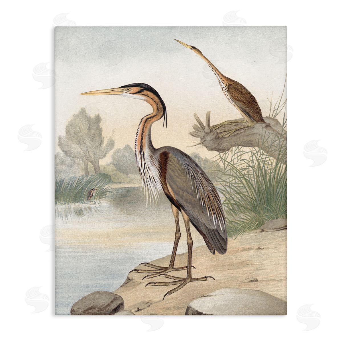 Piddix Wild Heron Birds Perched Scenic Grassy Creek Stretched Canvas Wall Art Print