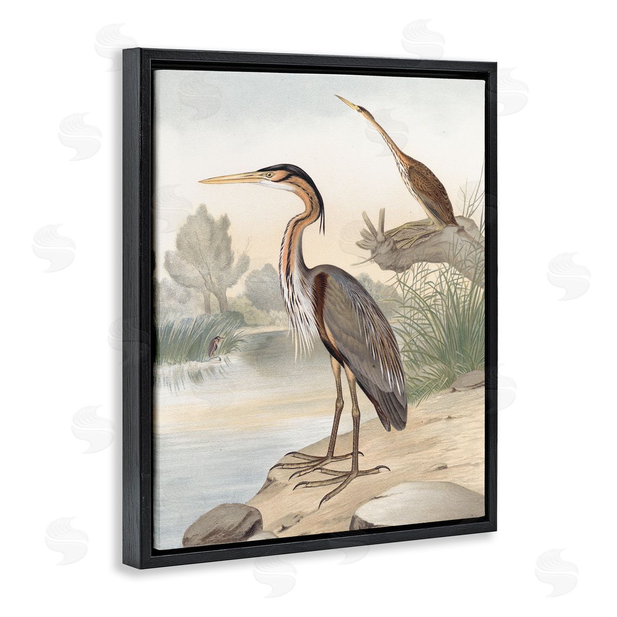 Piddix Wild Heron Birds Perched Scenic Grassy Creek Black Floating Frame Canvas Wall Art Print