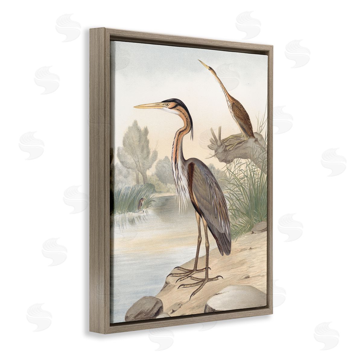 Piddix Wild Heron Birds Perched Scenic Grassy Creek Brown Floating Frame Canvas Wall Art Print