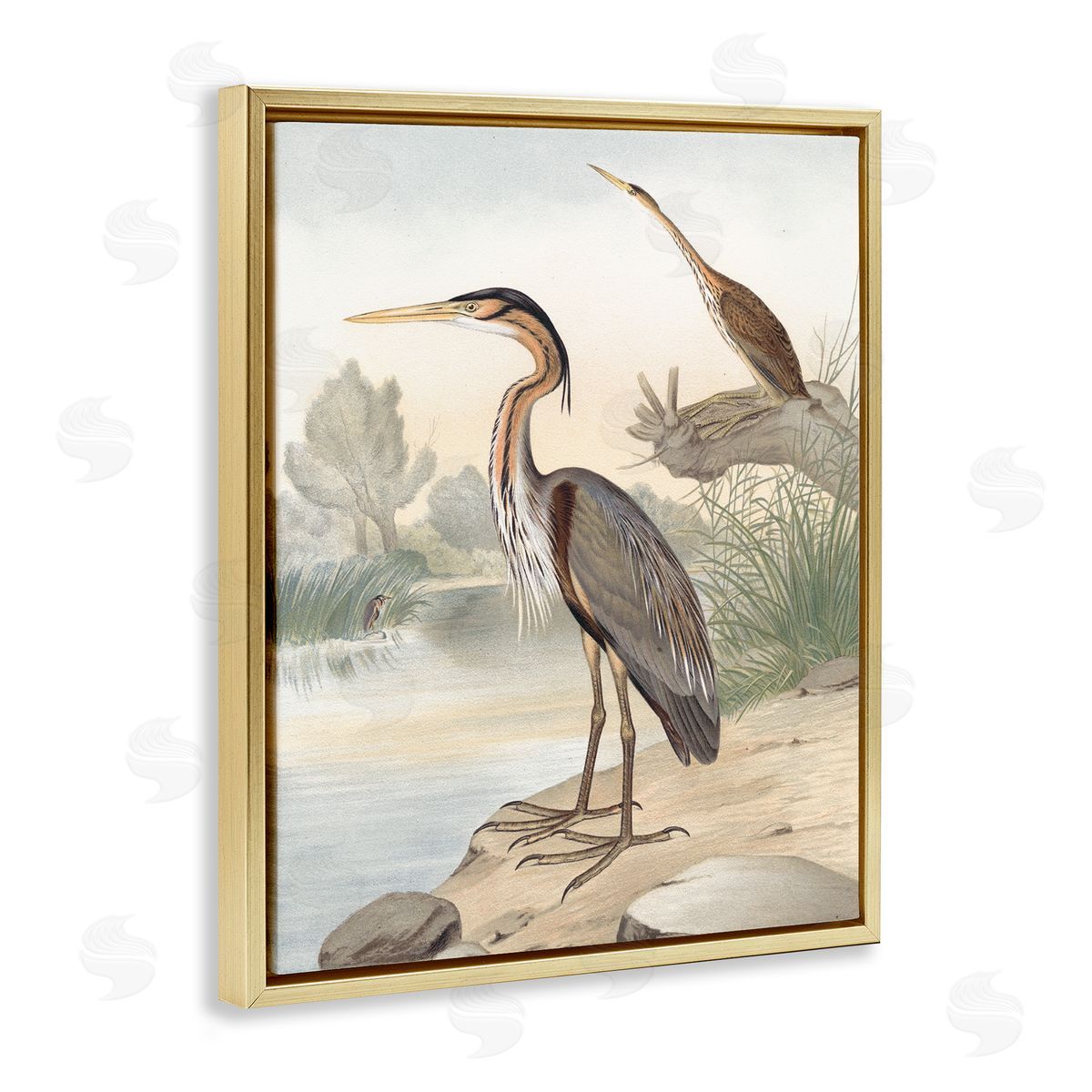 Piddix Wild Heron Birds Perched Scenic Grassy Creek Gold Floating Frame Canvas Wall Art Print