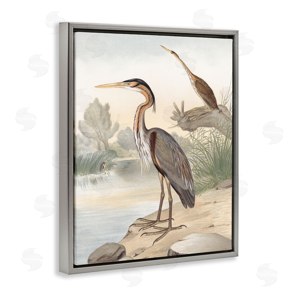 Piddix Wild Heron Birds Perched Scenic Grassy Creek Gray Floating Frame Canvas Wall Art Print