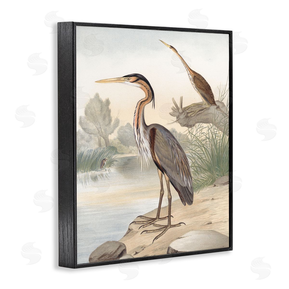 Piddix Wild Heron Birds Perched Scenic Grassy Creek Black Framed Giclee Wall Art Print