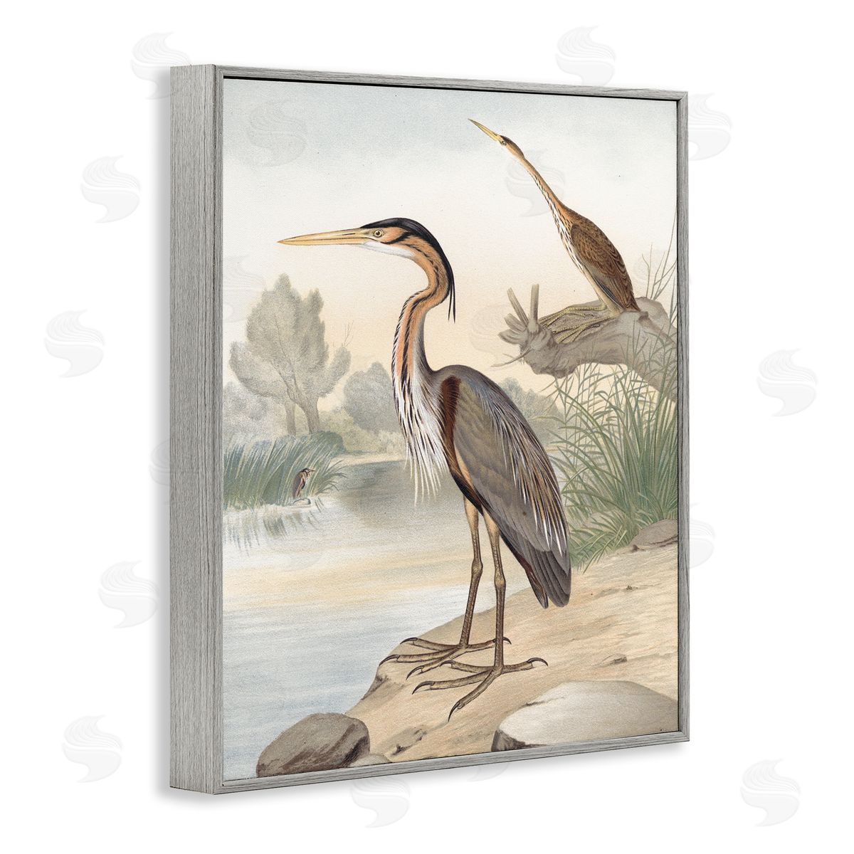 Piddix Wild Heron Birds Perched Scenic Grassy Creek Gray Framed Giclee Wall Art Print