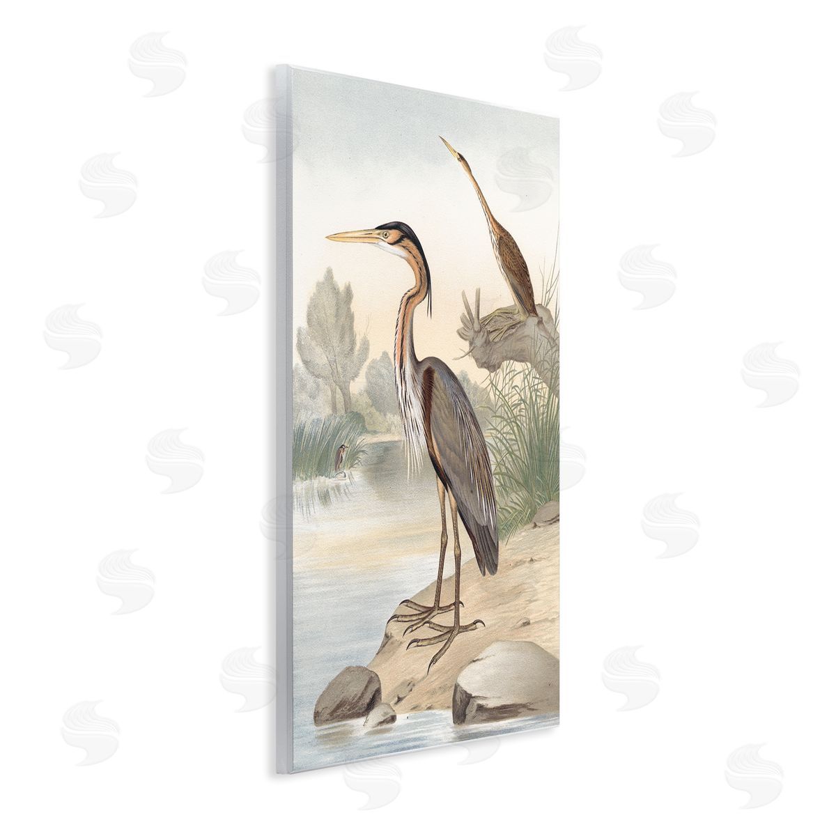Piddix Wild Heron Birds Perched Scenic Grassy Creek Wall Plaque Art Print