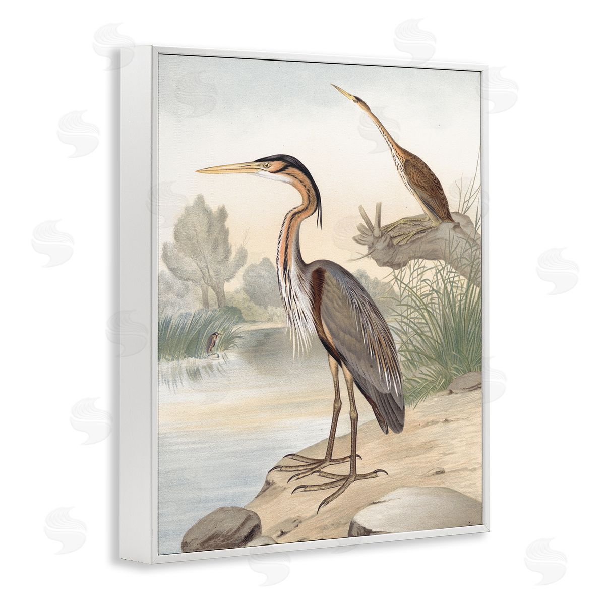 Piddix Wild Heron Birds Perched Scenic Grassy Creek White Framed Giclee Wall Art Print