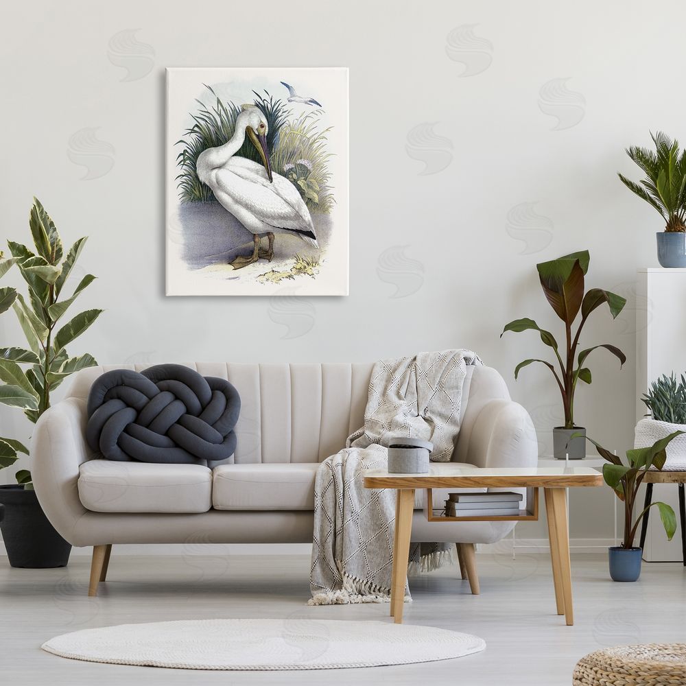 Piddix White Pelican Bird Preening Grassy Riverbank Shore  Canvas Wall Art Print in Room