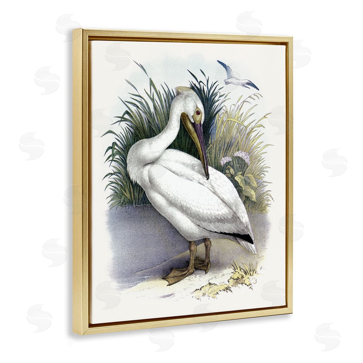 Piddix White Pelican Bird Preening Grassy Riverbank Shore  Gold Floating Frame Canvas Wall Art Print