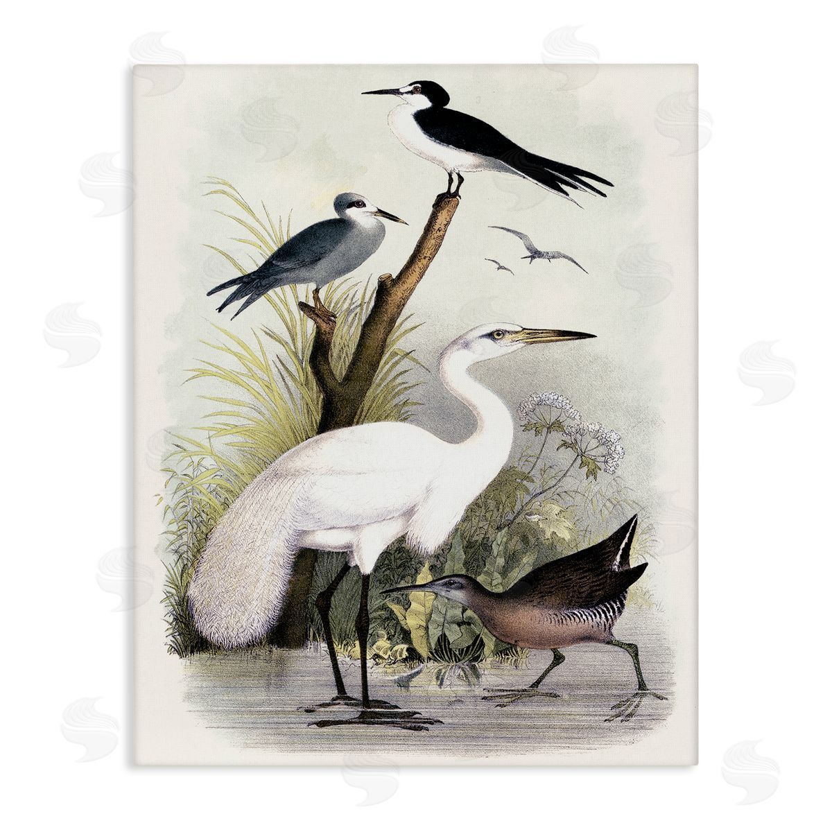 Piddix Varied Crane Birds Gathered Riverbank Stream Botanicals Stretched Canvas Wall Art Print