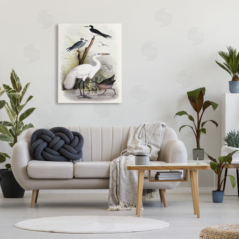 Piddix Varied Crane Birds Gathered Riverbank Stream Botanicals Canvas Wall Art Print in Room