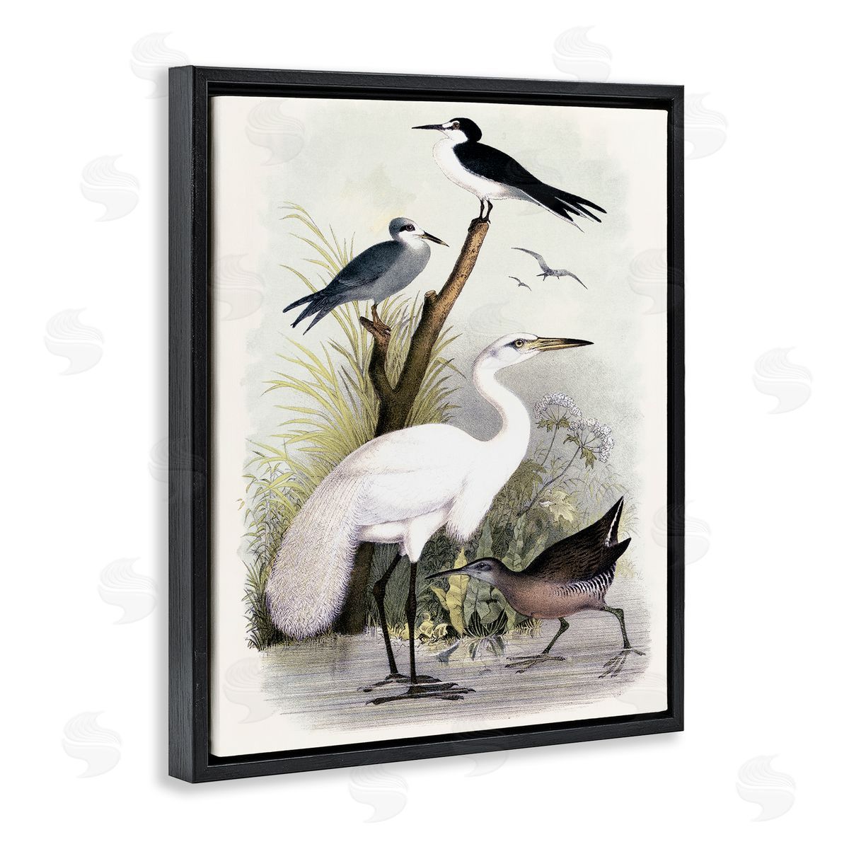 Piddix Varied Crane Birds Gathered Riverbank Stream Botanicals Black Floating Frame Canvas Wall Art Print