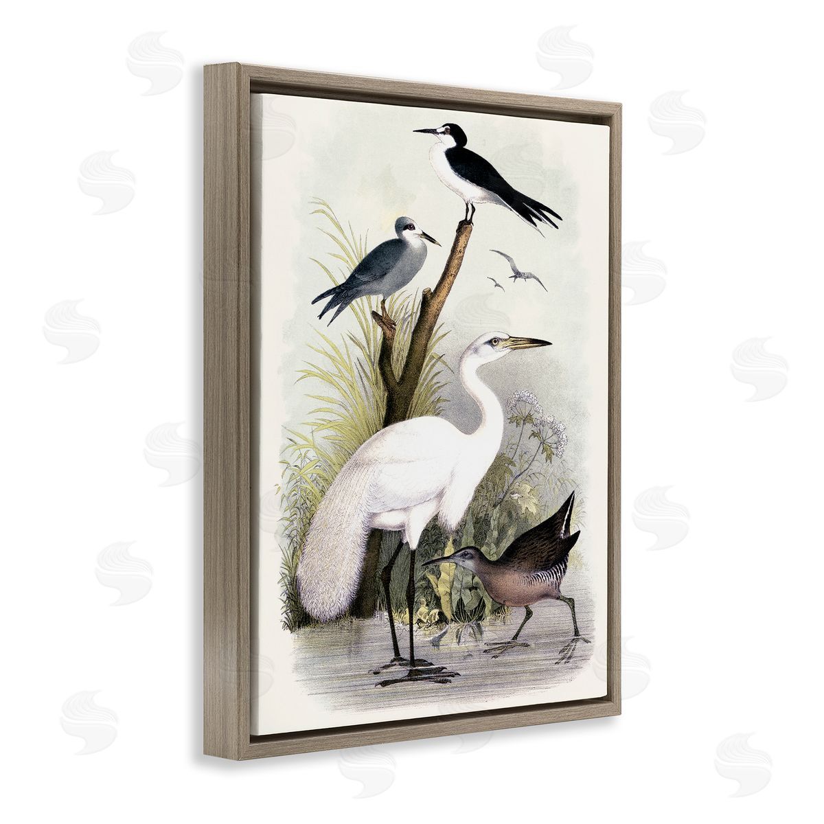 Piddix Varied Crane Birds Gathered Riverbank Stream Botanicals Brown Floating Frame Canvas Wall Art Print