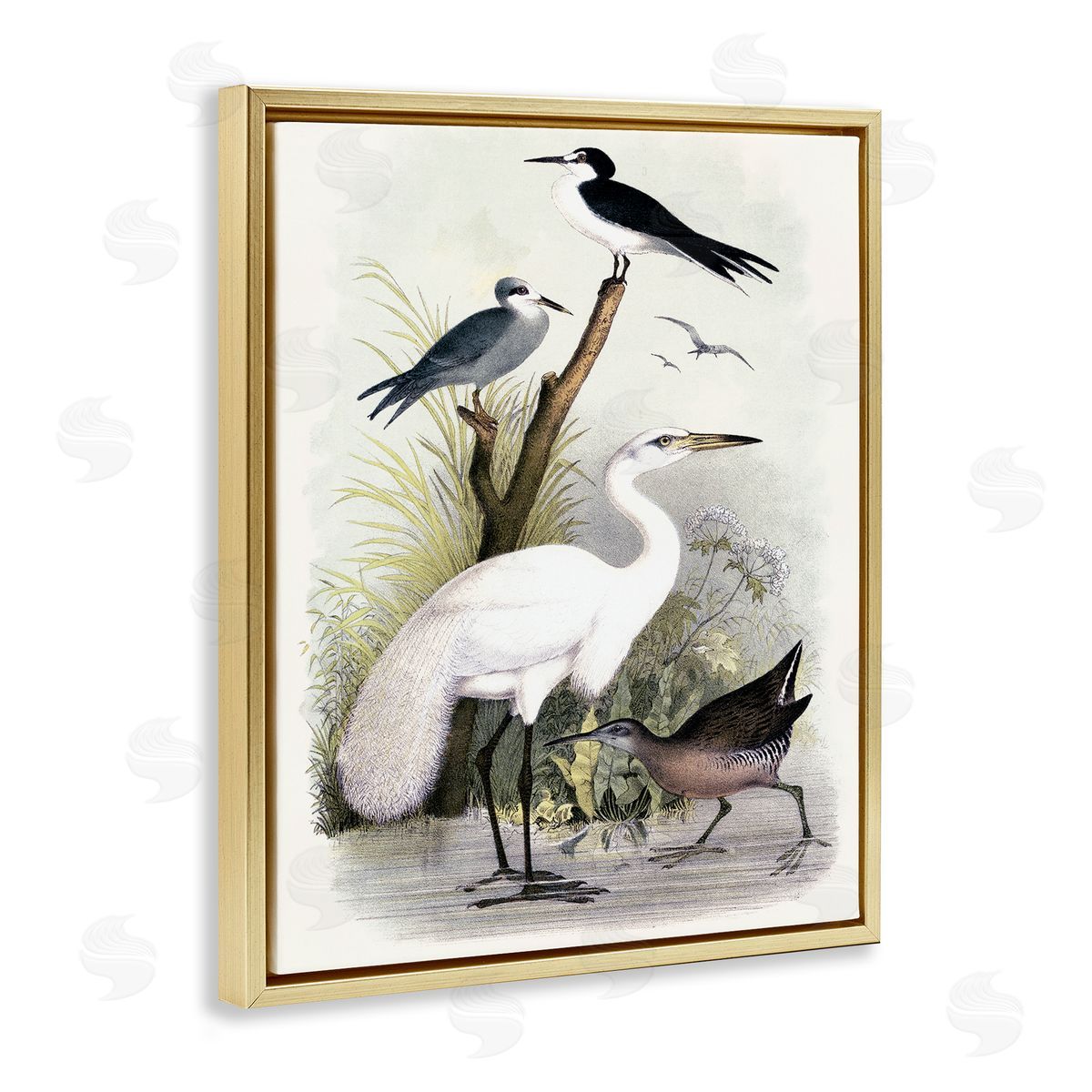 Piddix Varied Crane Birds Gathered Riverbank Stream Botanicals Gold Floating Frame Canvas Wall Art Print