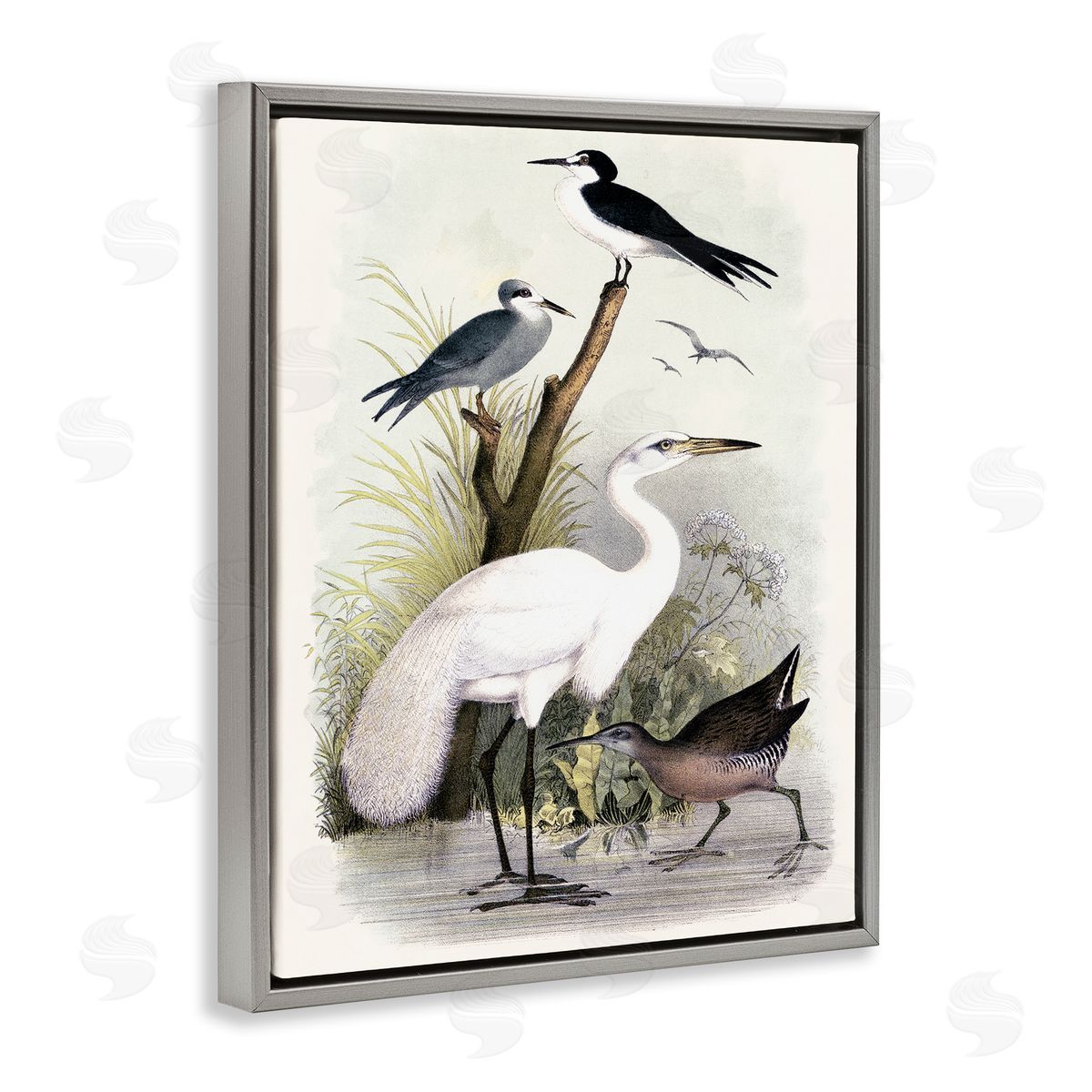 Piddix Varied Crane Birds Gathered Riverbank Stream Botanicals Gray Floating Frame Canvas Wall Art Print