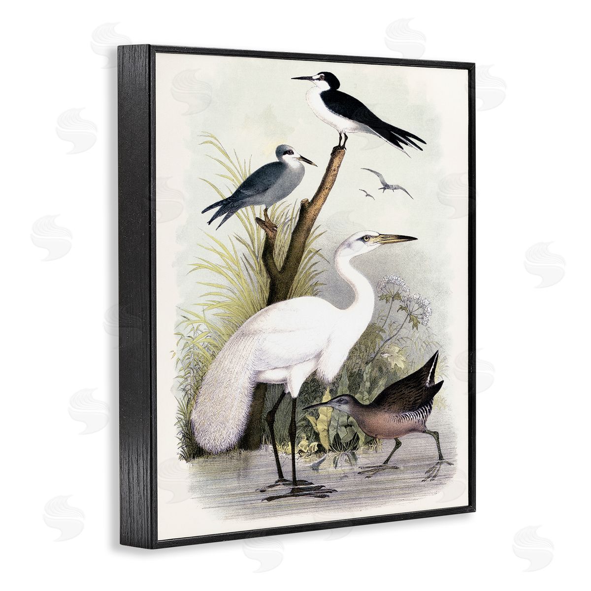 Piddix Varied Crane Birds Gathered Riverbank Stream Botanicals Black Framed Giclee Wall Art Print