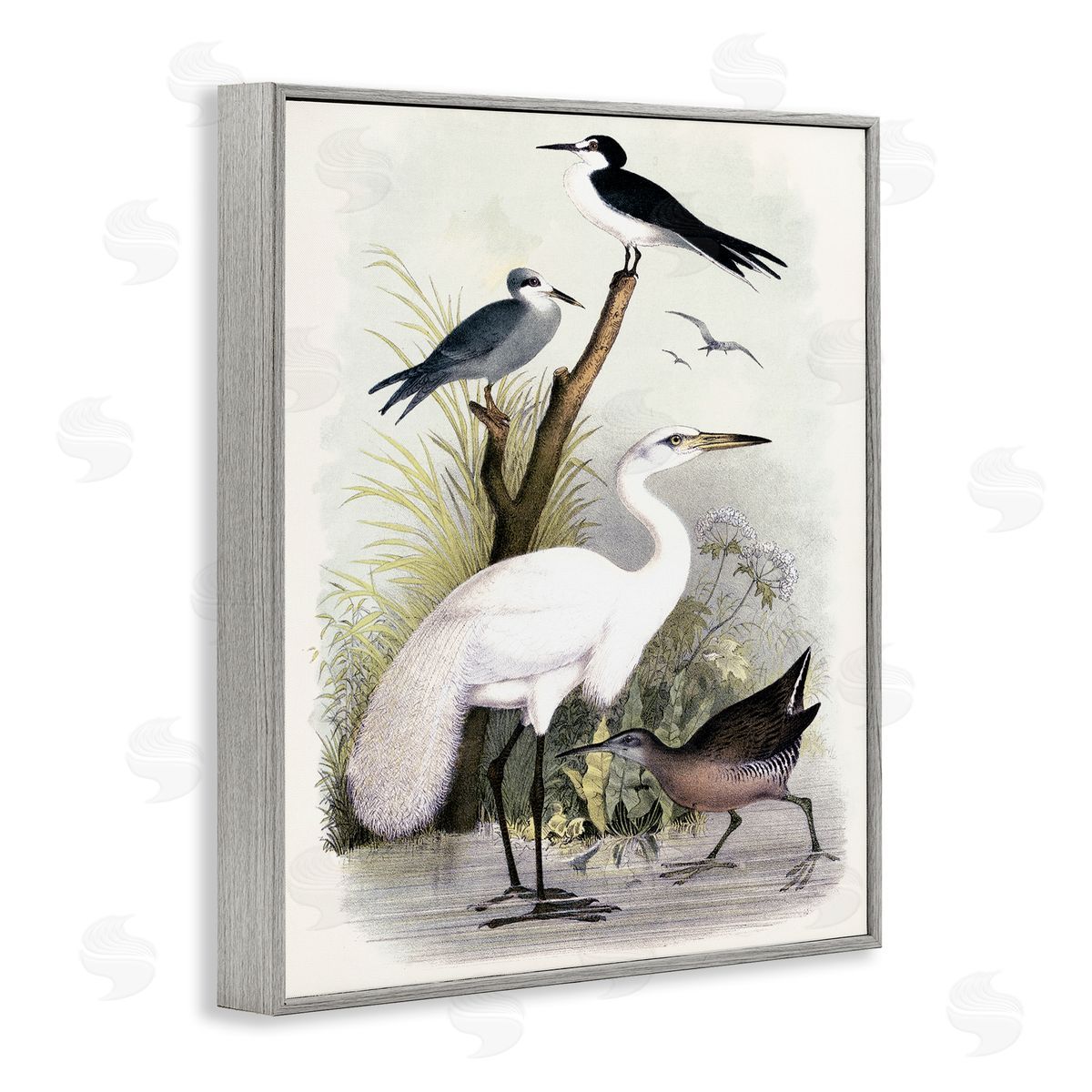 Piddix Varied Crane Birds Gathered Riverbank Stream Botanicals Gray Framed Giclee Wall Art Print