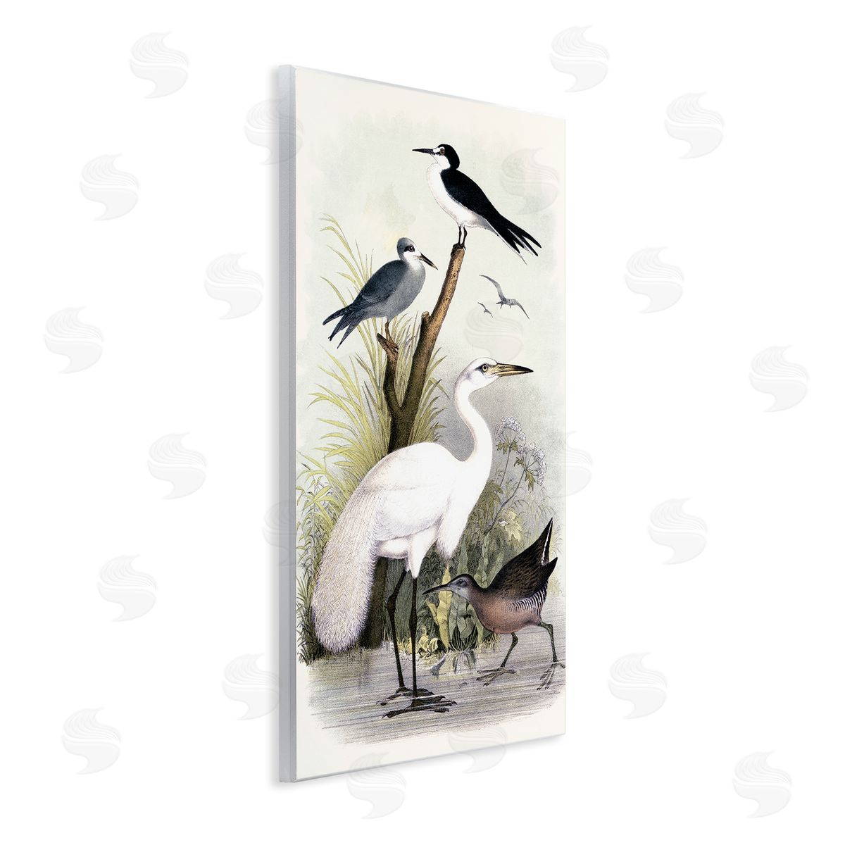 Piddix Varied Crane Birds Gathered Riverbank Stream Botanicals Wall Plaque Art Print