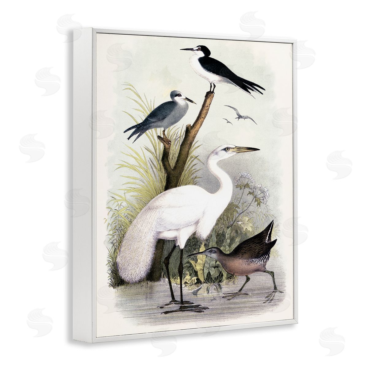 Piddix Varied Crane Birds Gathered Riverbank Stream Botanicals White Framed Giclee Wall Art Print