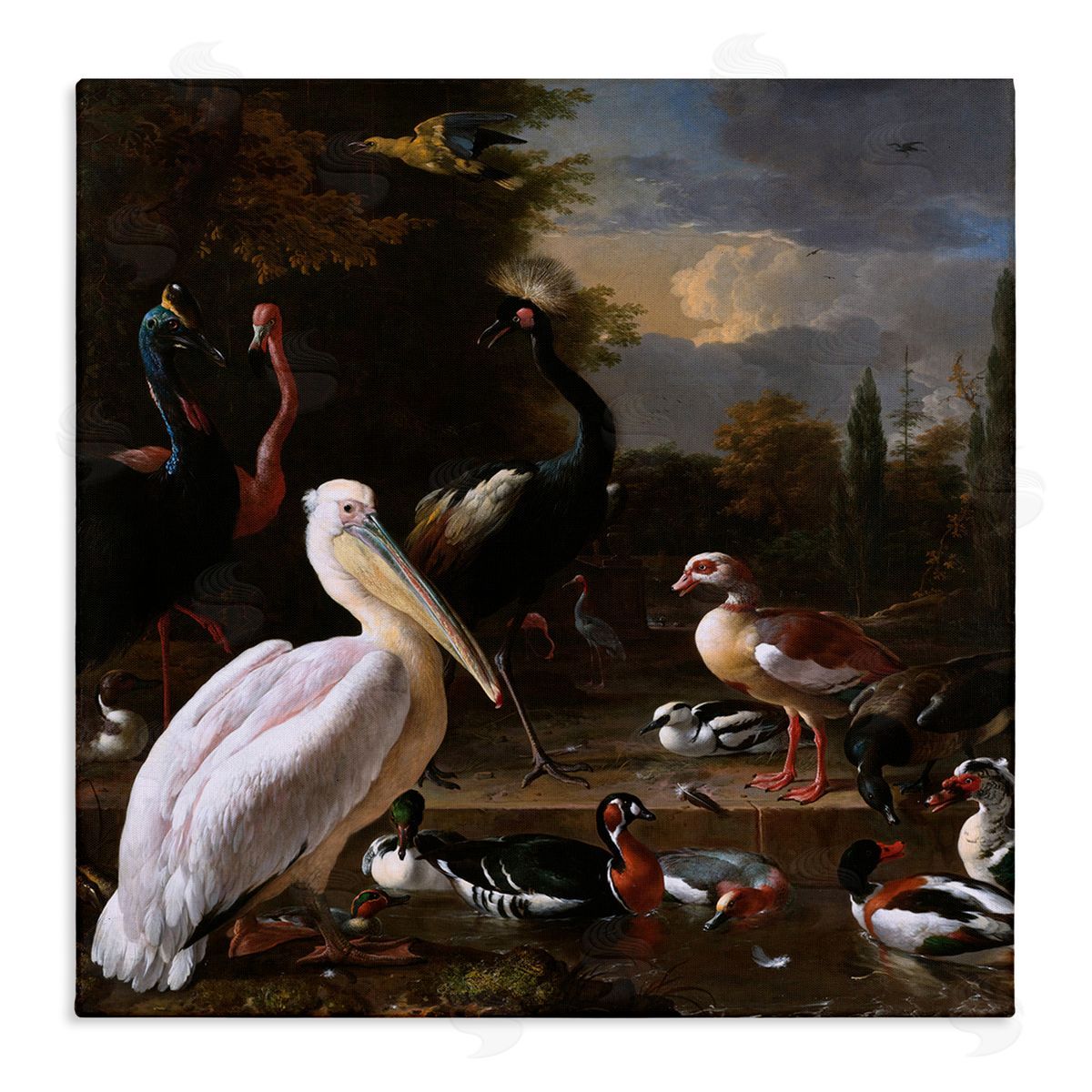 one1000paintings Pelican and Other Birds Melchior d'Hondecoeter Painting Stretched Canvas Wall Art Print