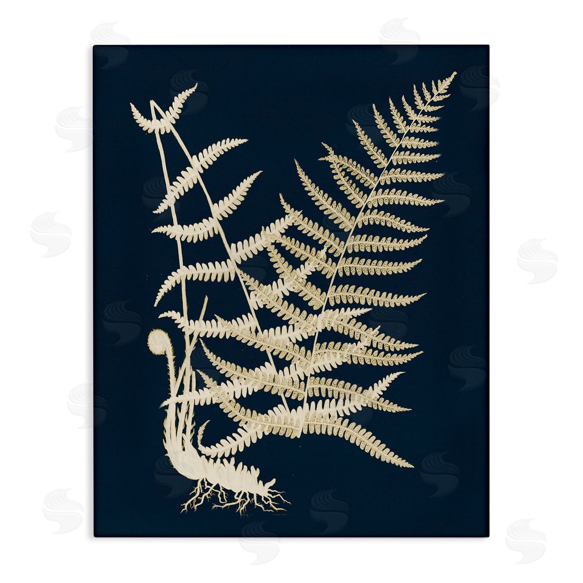 Piddix Layered Fern Leaves Abstract Botanical Roots Shapes Stretched Canvas Wall Art Print