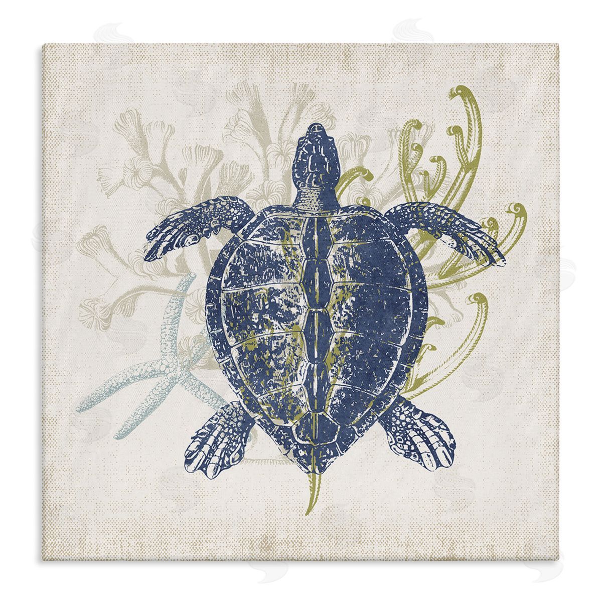 Victoria Barnes Detailed Sea Turtle Layered Coral Aquatic Life Stretched Canvas Wall Art Print