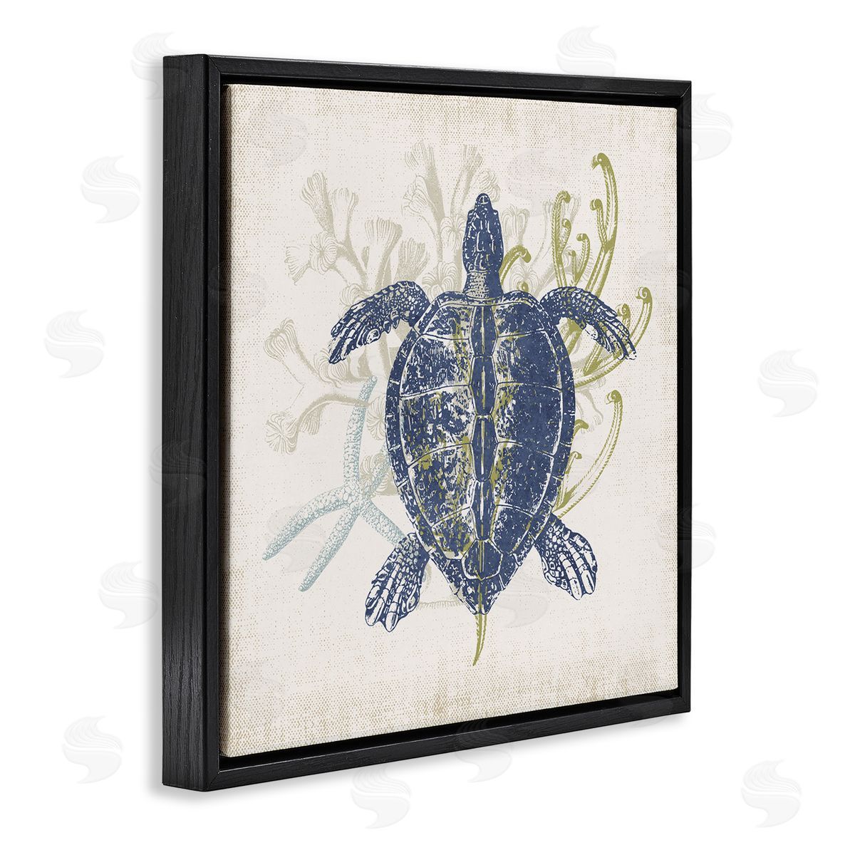 Victoria Barnes Detailed Sea Turtle Layered Coral Aquatic Life Black Floating Frame Canvas Wall Art Print