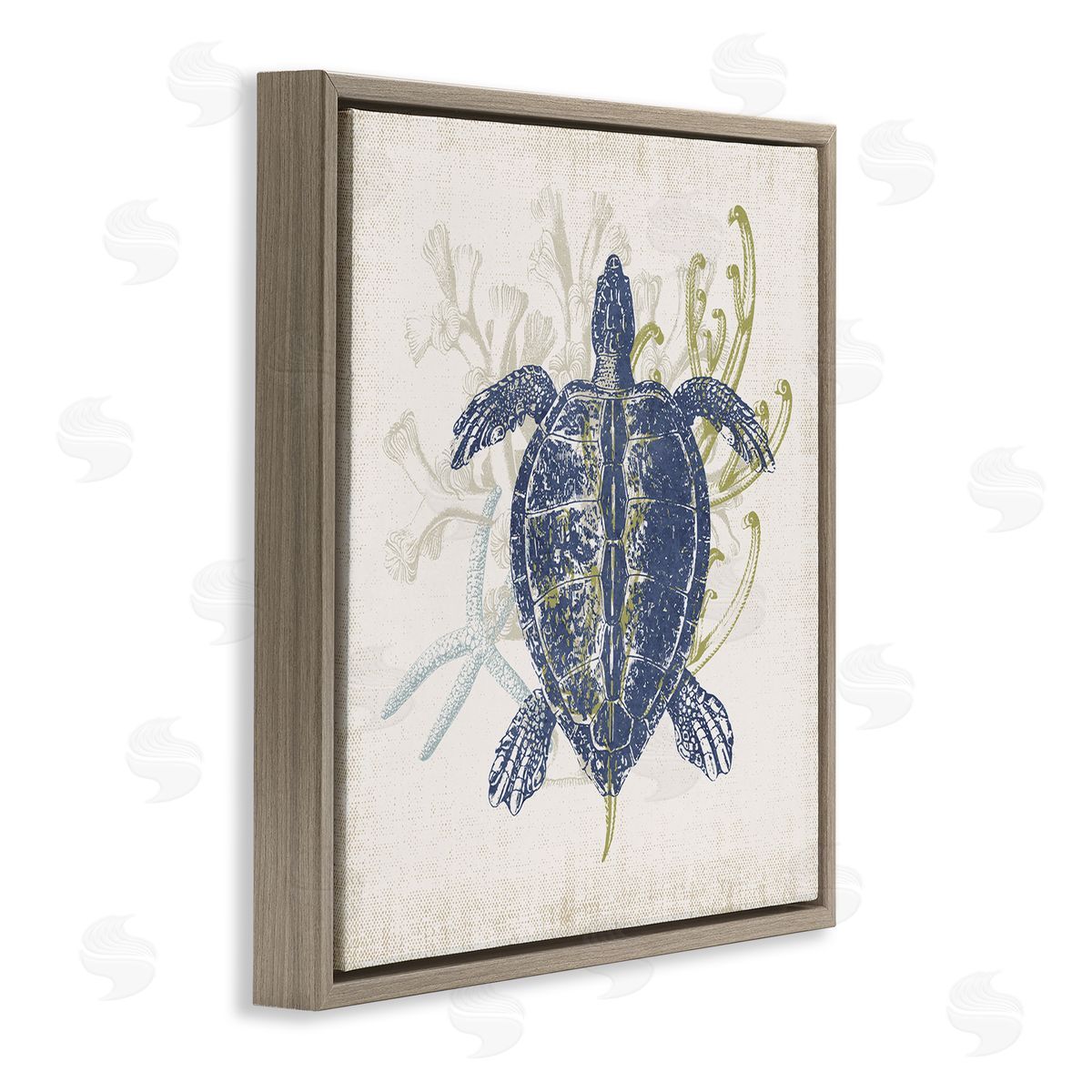 Victoria Barnes Detailed Sea Turtle Layered Coral Aquatic Life Brown Floating Frame Canvas Wall Art Print