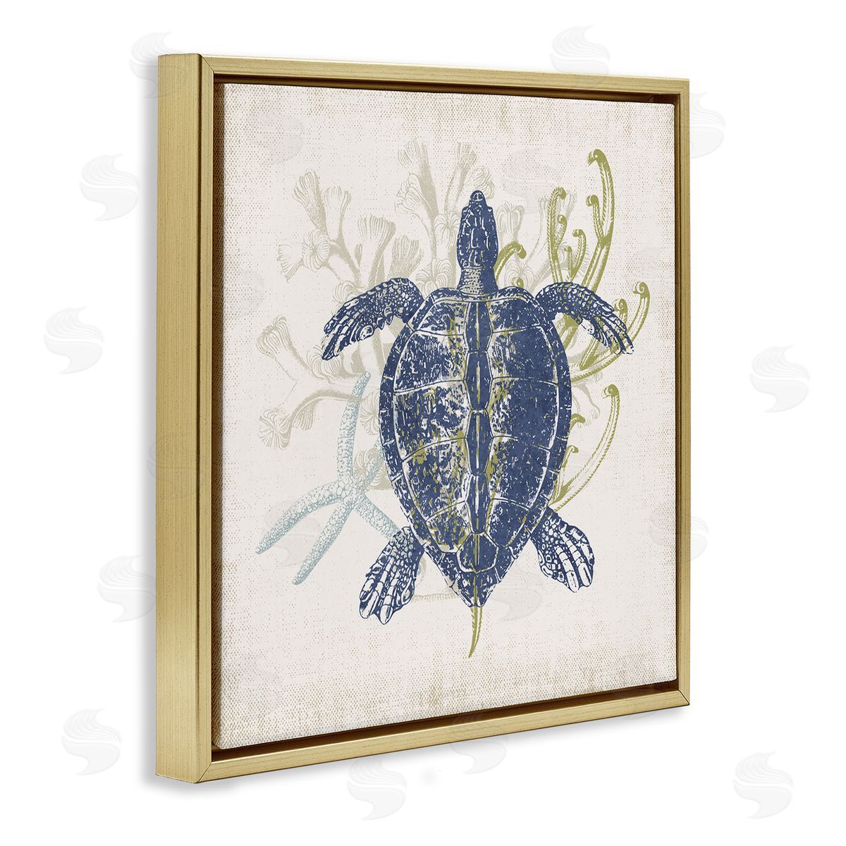 Victoria Barnes Detailed Sea Turtle Layered Coral Aquatic Life Gold Floating Frame Canvas Wall Art Print