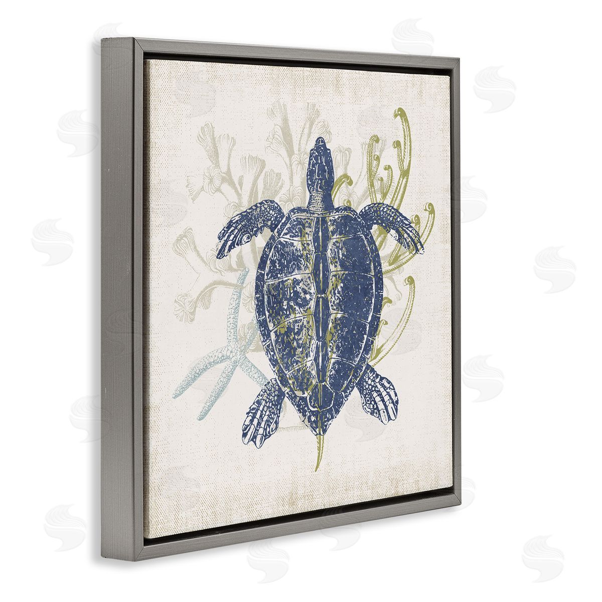 Victoria Barnes Detailed Sea Turtle Layered Coral Aquatic Life Gray Floating Frame Canvas Wall Art Print