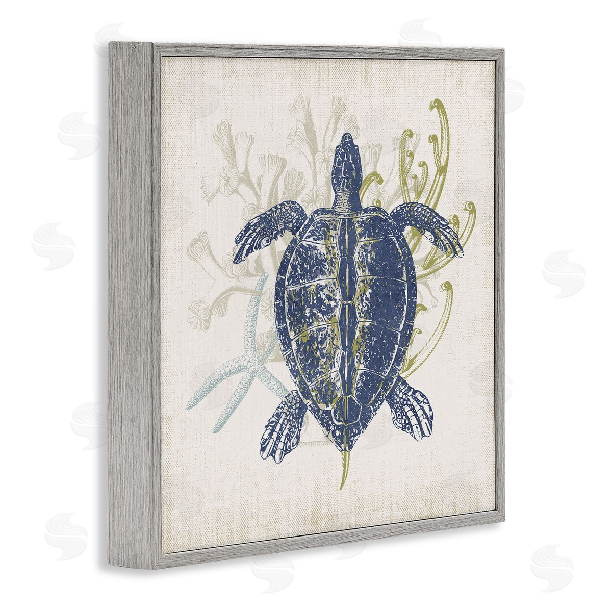 Victoria Barnes Detailed Sea Turtle Layered Coral Aquatic Life Gray Framed Glicee Wall Art Print