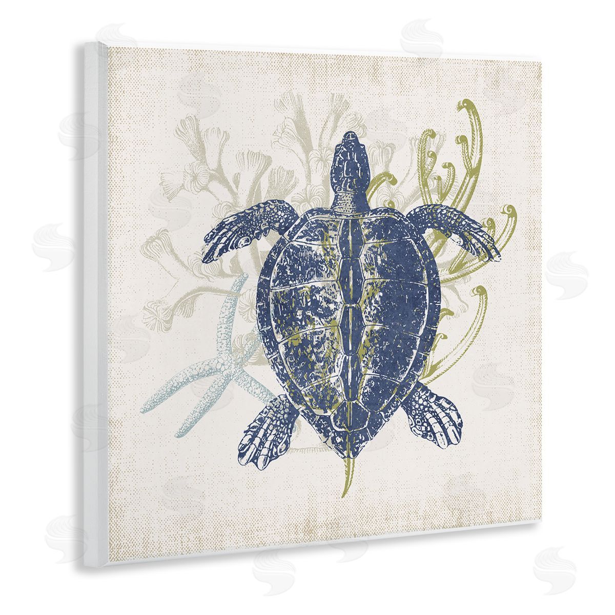 Victoria Barnes Detailed Sea Turtle Layered Coral Aquatic Life Wooden Wall Plaque Art Print