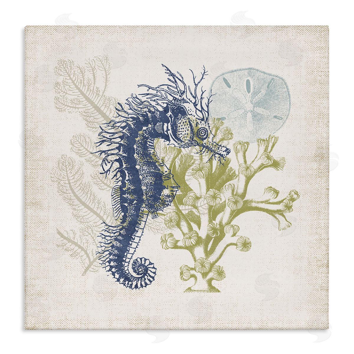 Victoria Barnes Intricate Seahorse Overlay Sand Dollar Coral Botanicals Stretched Canvas Wall Art Print