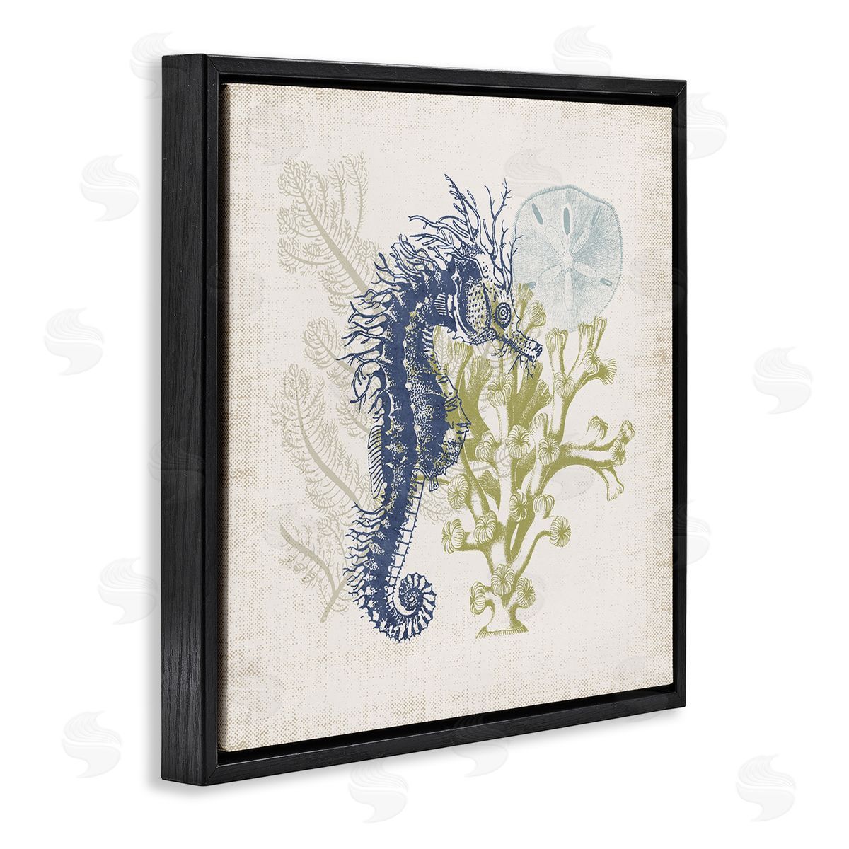 Victoria Barnes Intricate Seahorse Overlay Sand Dollar Coral Botanicals Black Floating Frame Canvas Wall Art Print