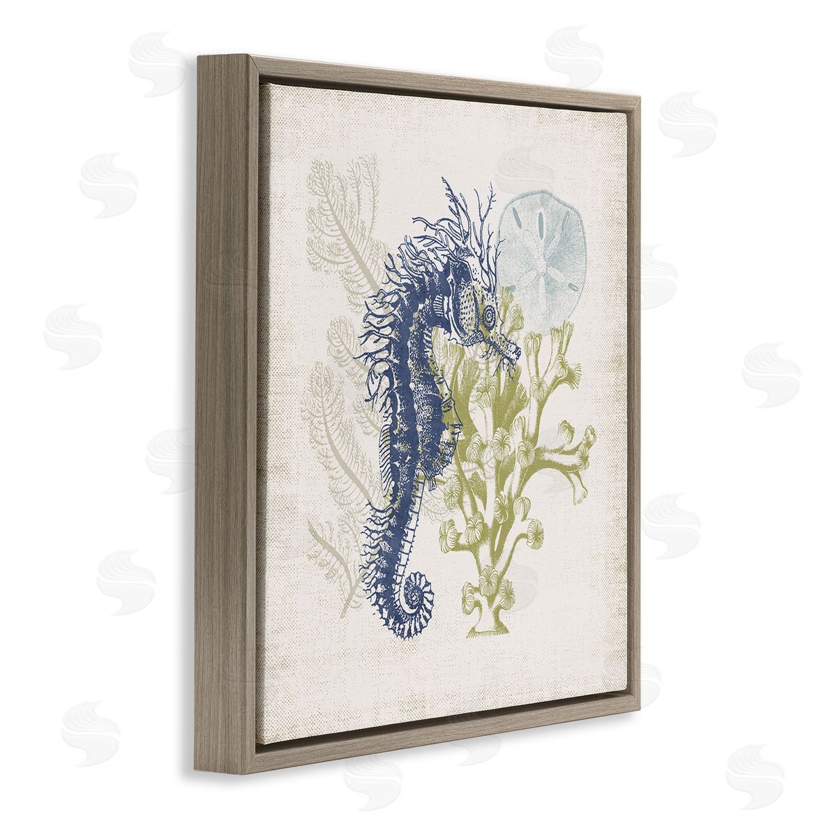 Victoria Barnes Intricate Seahorse Overlay Sand Dollar Coral Botanicals Brown Floating Frame Canvas Wall Art Print