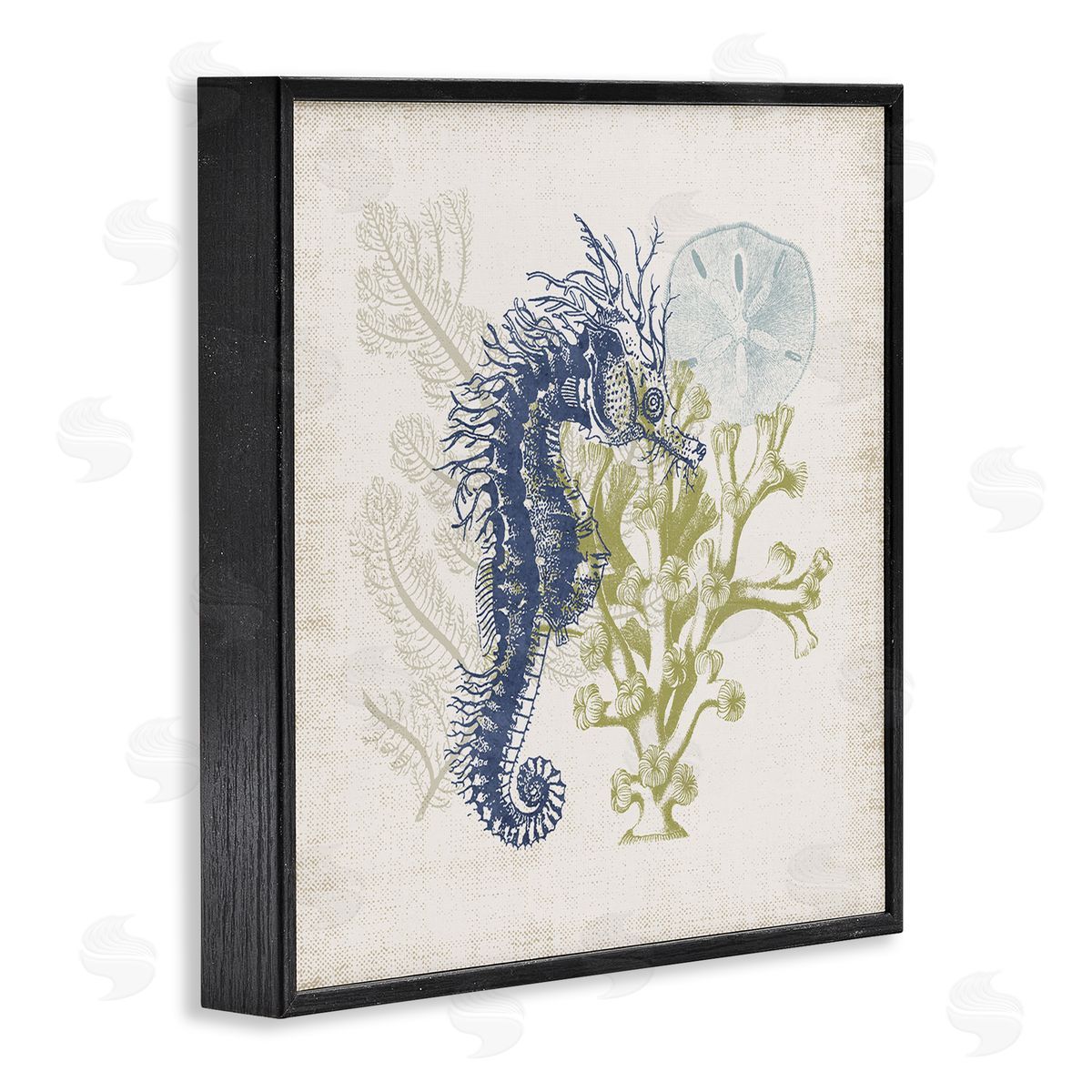 Victoria Barnes Intricate Seahorse Overlay Sand Dollar Coral Botanicals Black Framed Glicee Wall Art Print
