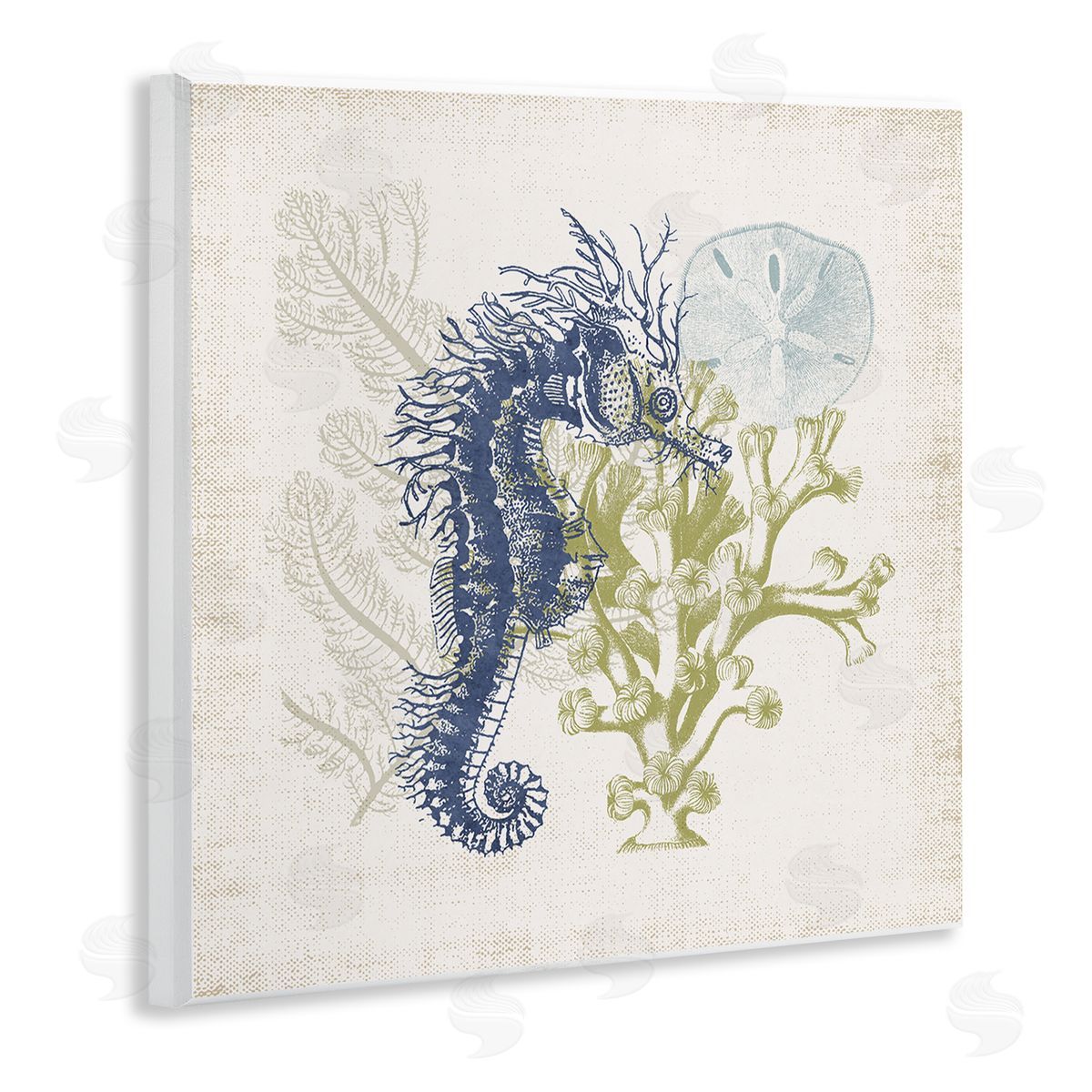 Victoria Barnes Intricate Seahorse Overlay Sand Dollar Coral Botanicals Wooden Wall Plaque Art Print