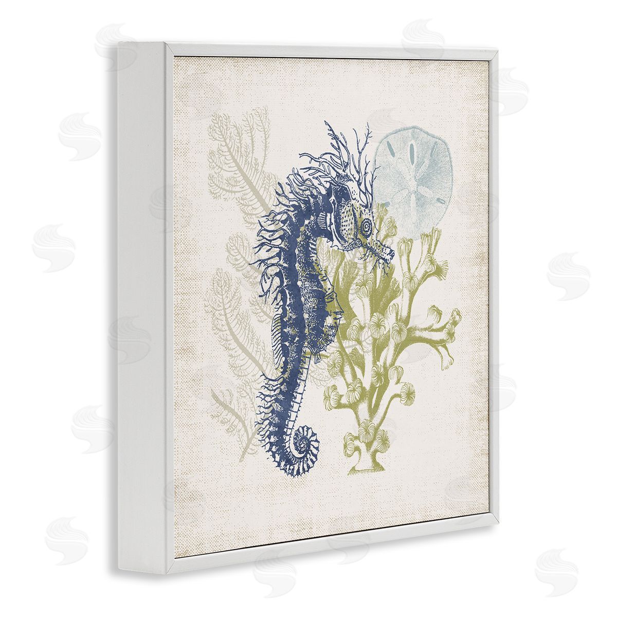 Victoria Barnes Intricate Seahorse Overlay Sand Dollar Coral Botanicals White Framed Glicee Wall Art Print