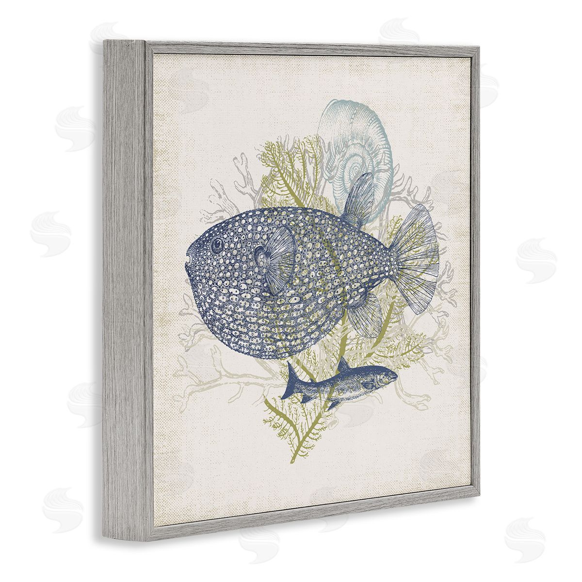 Victoria Barnes Aquatic Sea Life Rustic Seashell Layered Fish Gray Framed Glicee Wall Art Print