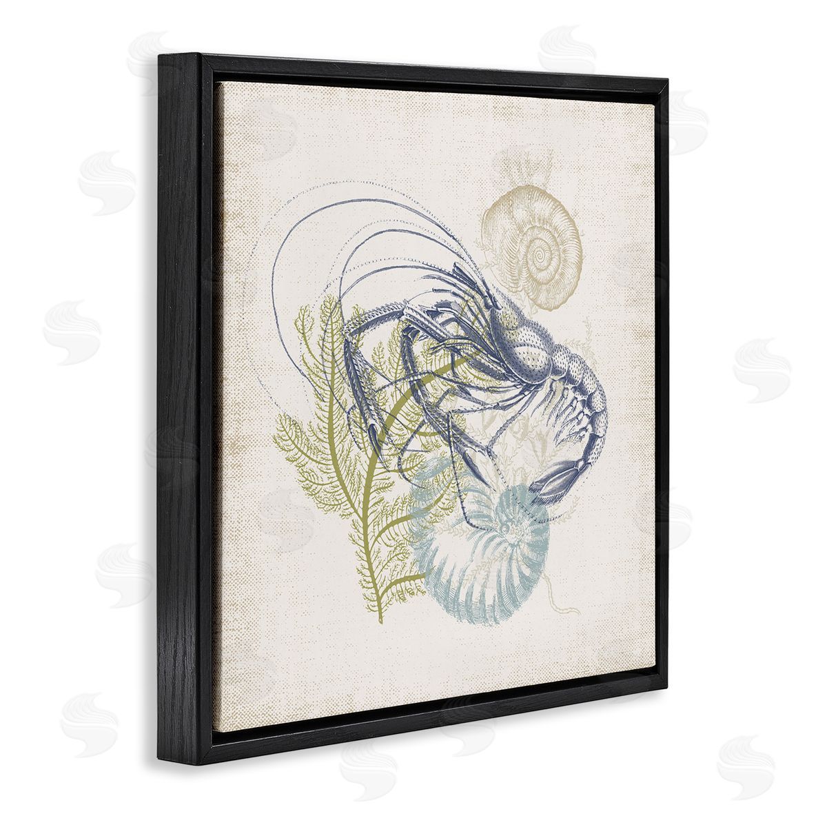 Victoria Barnes Nautical Layered Sea Life Crawdad Ocean Botanicals Black Floating Frame Canvas Wall Art Print