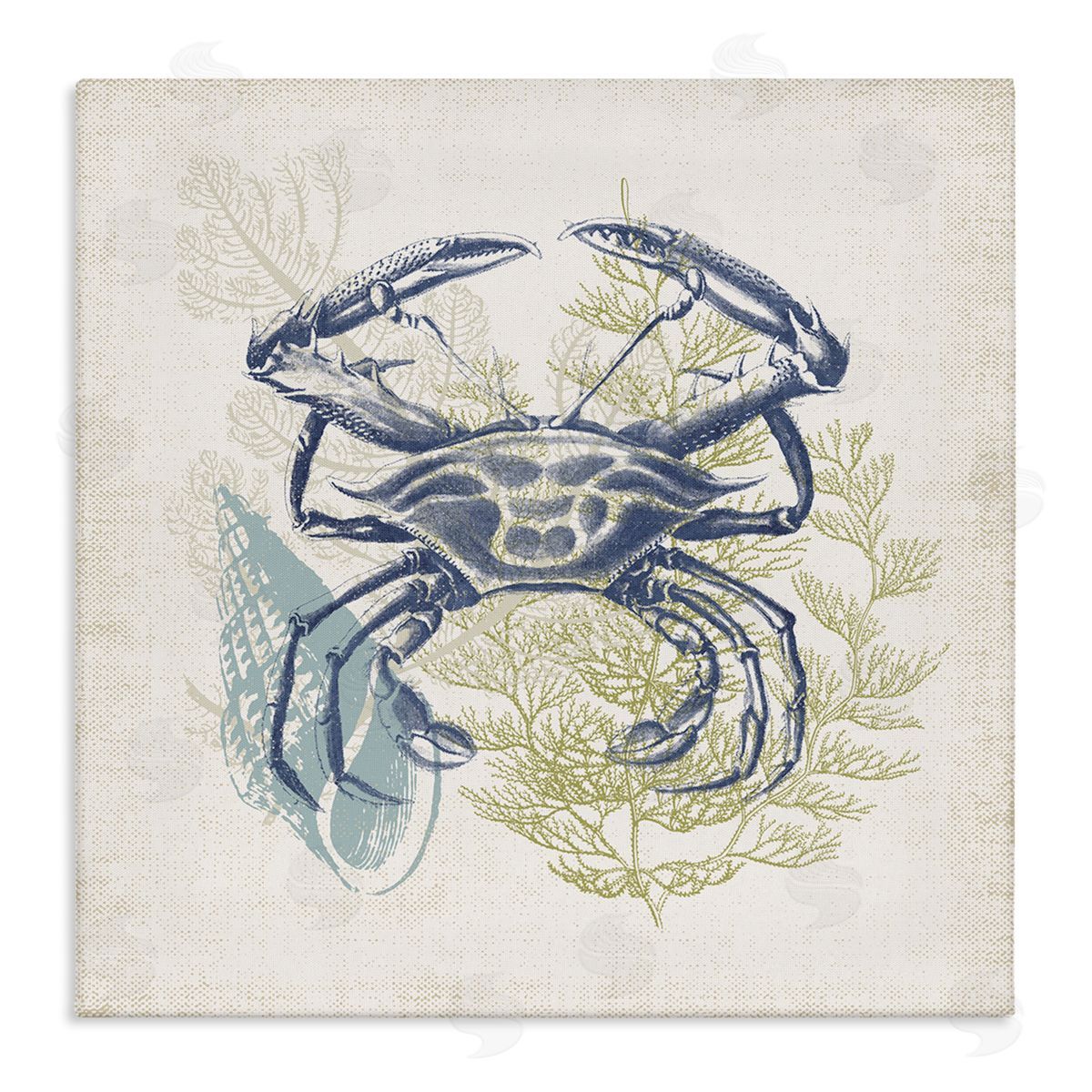 Victoria Barnes Ocean Crab Detailed Botanical Overlay Rustic Design Stretched Canvas Wall Art Print