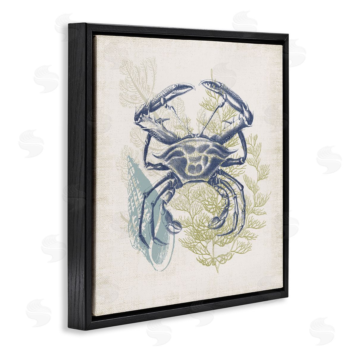 Victoria Barnes Ocean Crab Detailed Botanical Overlay Rustic Design Black Floating Frame Canvas Wall Art Print