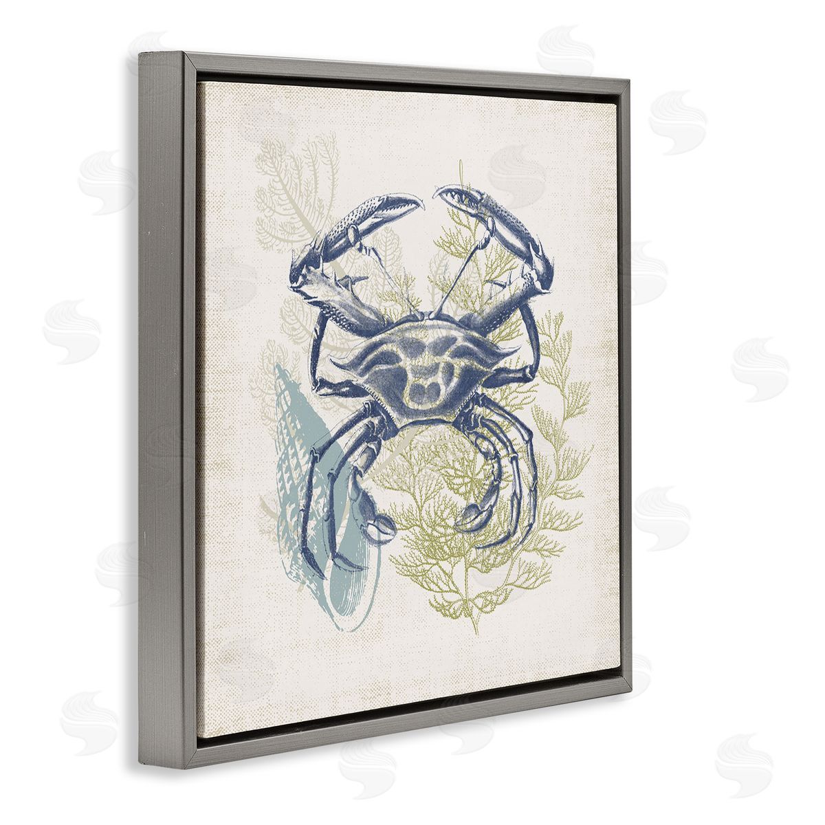 Victoria Barnes Ocean Crab Detailed Botanical Overlay Rustic Design Gray Floating Frame Canvas Wall Art Print
