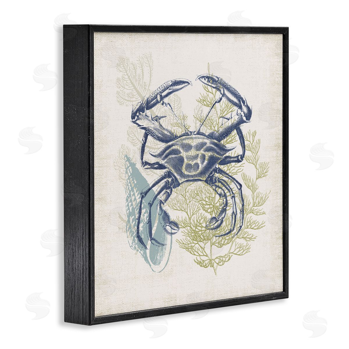 Victoria Barnes Ocean Crab Detailed Botanical Overlay Rustic Design Black Framed Glicee Wall Art Print
