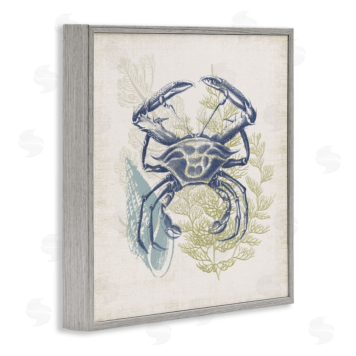 Victoria Barnes Ocean Crab Detailed Botanical Overlay Rustic Design Gray Framed Glicee Wall Art Print