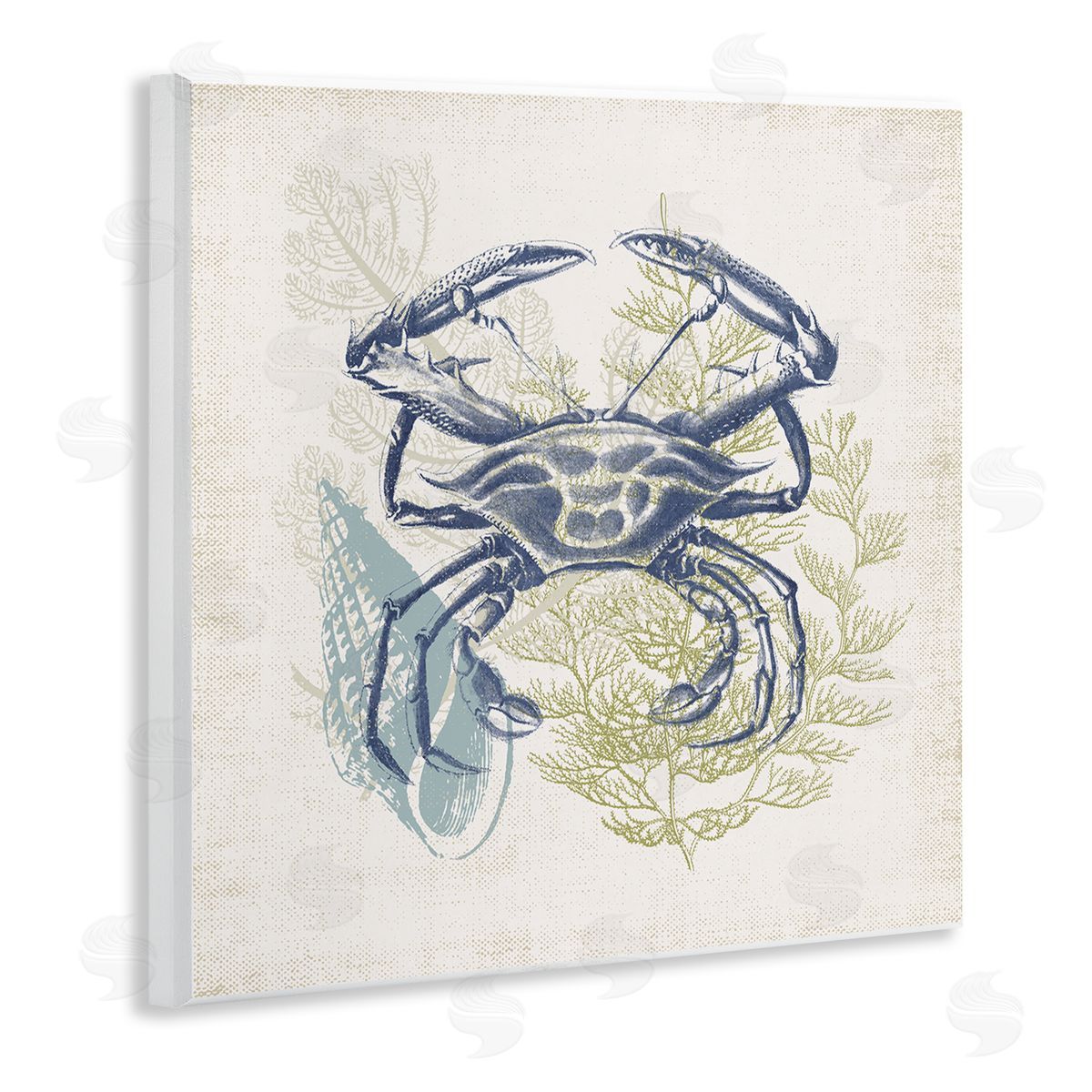 Victoria Barnes Ocean Crab Detailed Botanical Overlay Rustic Design Wooden Wall Plaque Art Print