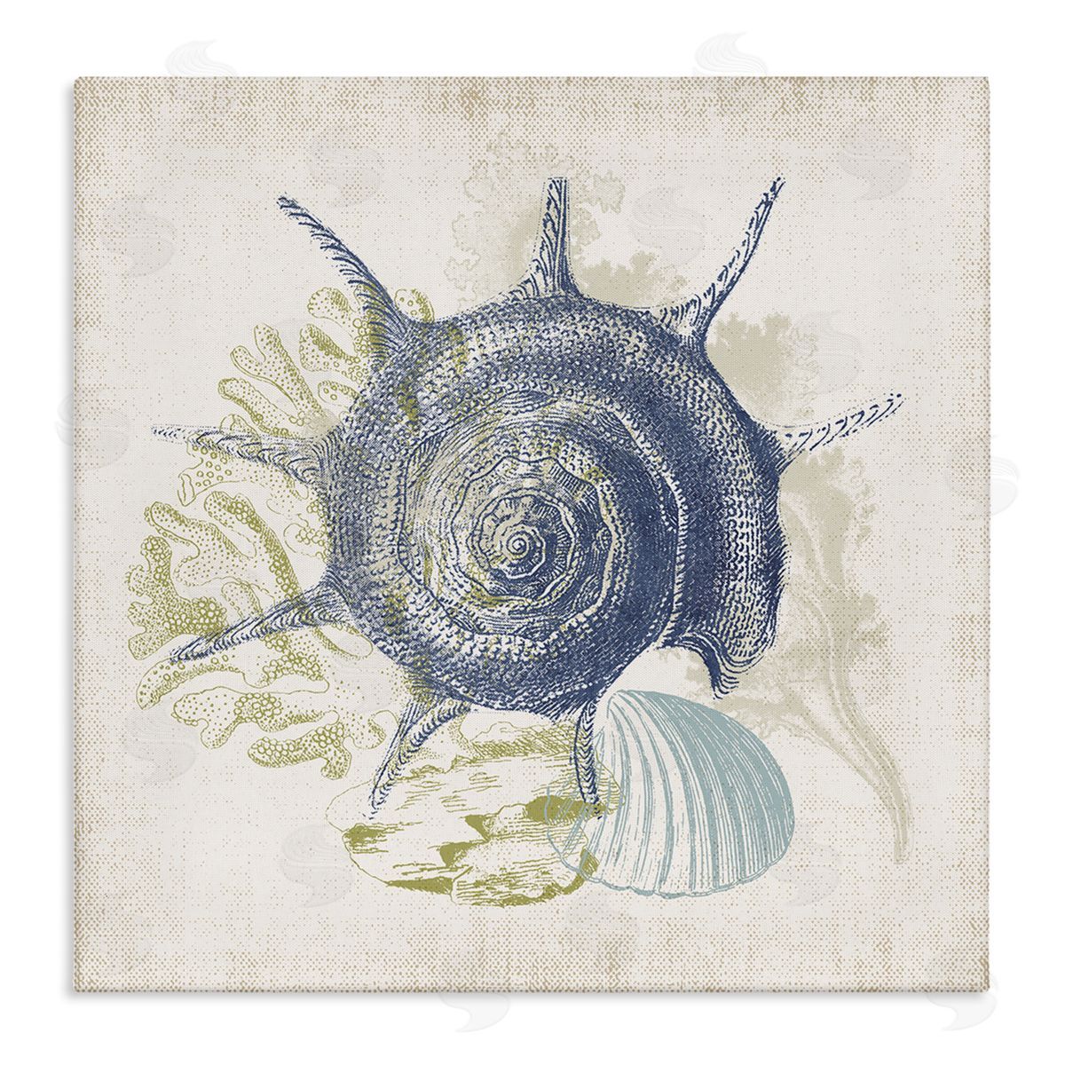 Victoria Barnes Intricate Conch Seashell Drawing Layered Coral Botanicals Stretched Canvas Wall Art Print