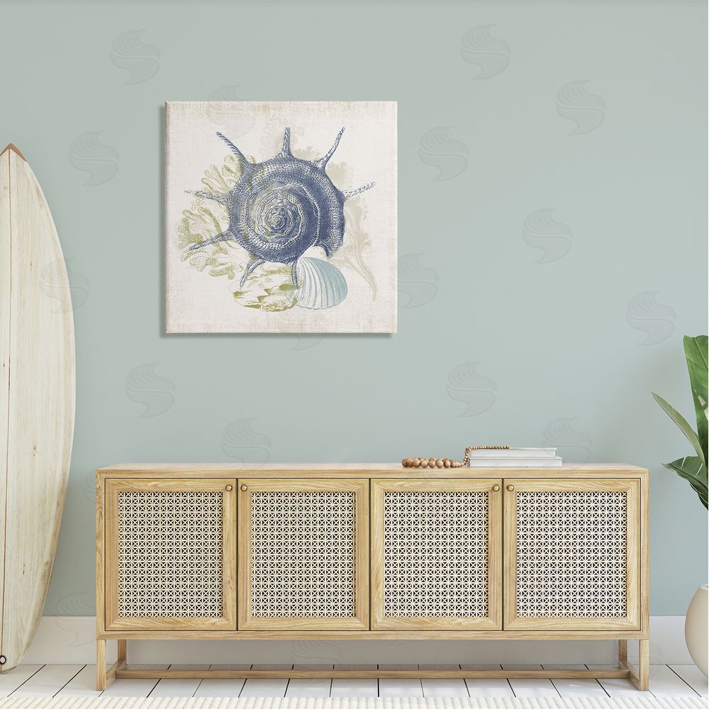 Victoria Barnes Intricate Conch Seashell Drawing Layered Coral Botanicals Canvas Wall Art in Room